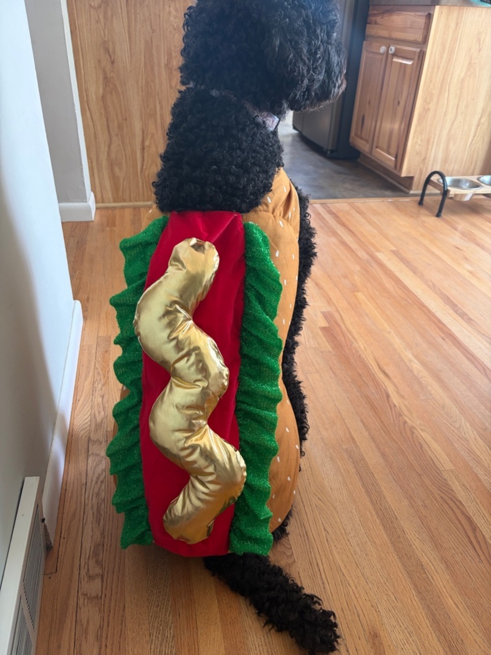 Dog Hot Dog Costume — Gold, Red & Green - Picture 2 of 4